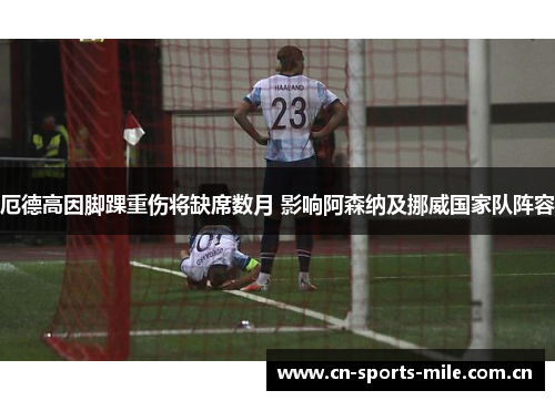 厄德高因脚踝重伤将缺席数月 影响阿森纳及挪威国家队阵容 厄德高因脚踝重伤将缺席数月 影响阿森纳及挪威国家队阵容